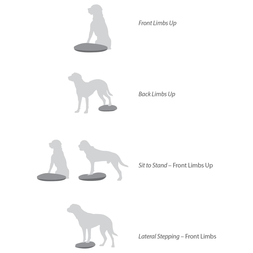 Planche d'équilibre pour animaux de compagnie fitpaws 36 cm bleu - number 7.