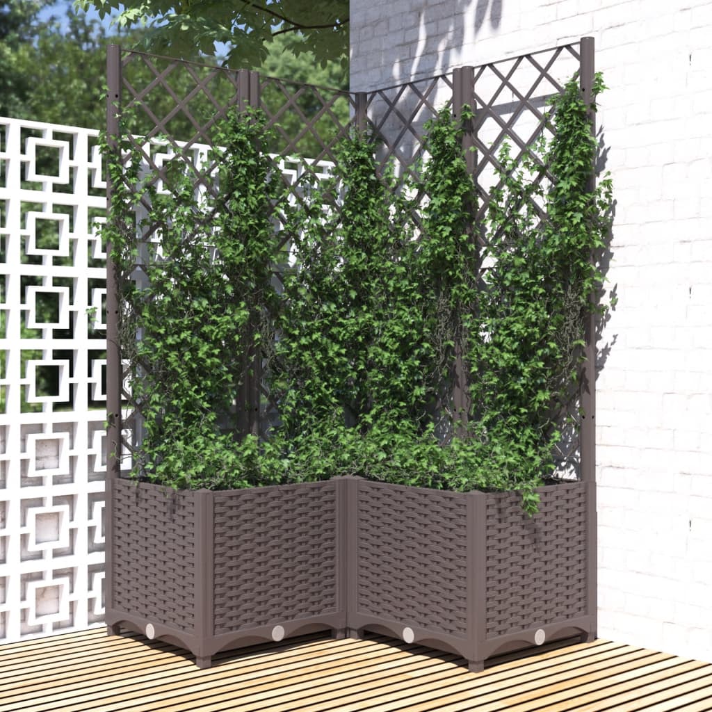 Plantekasse med espalier pp - brun, 80 x 80 x 136 cm, 1 - number 1.