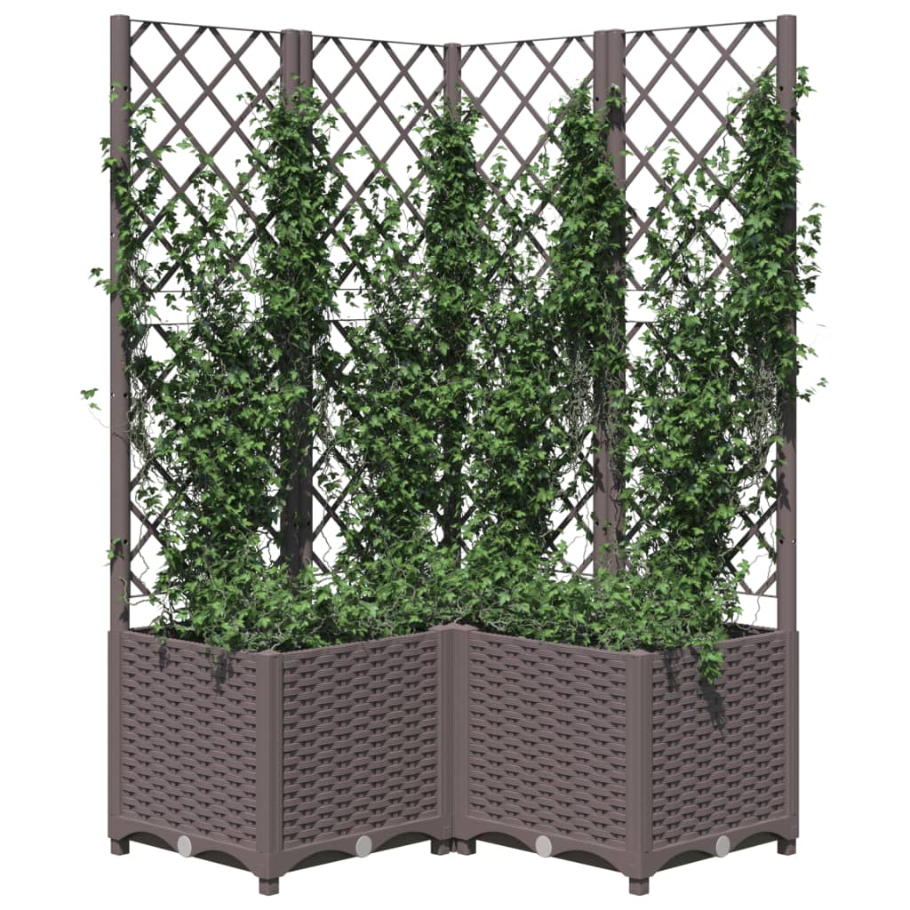Plantekasse med espalier pp - brun, 80 x 80 x 136 cm, 1 - number 3.