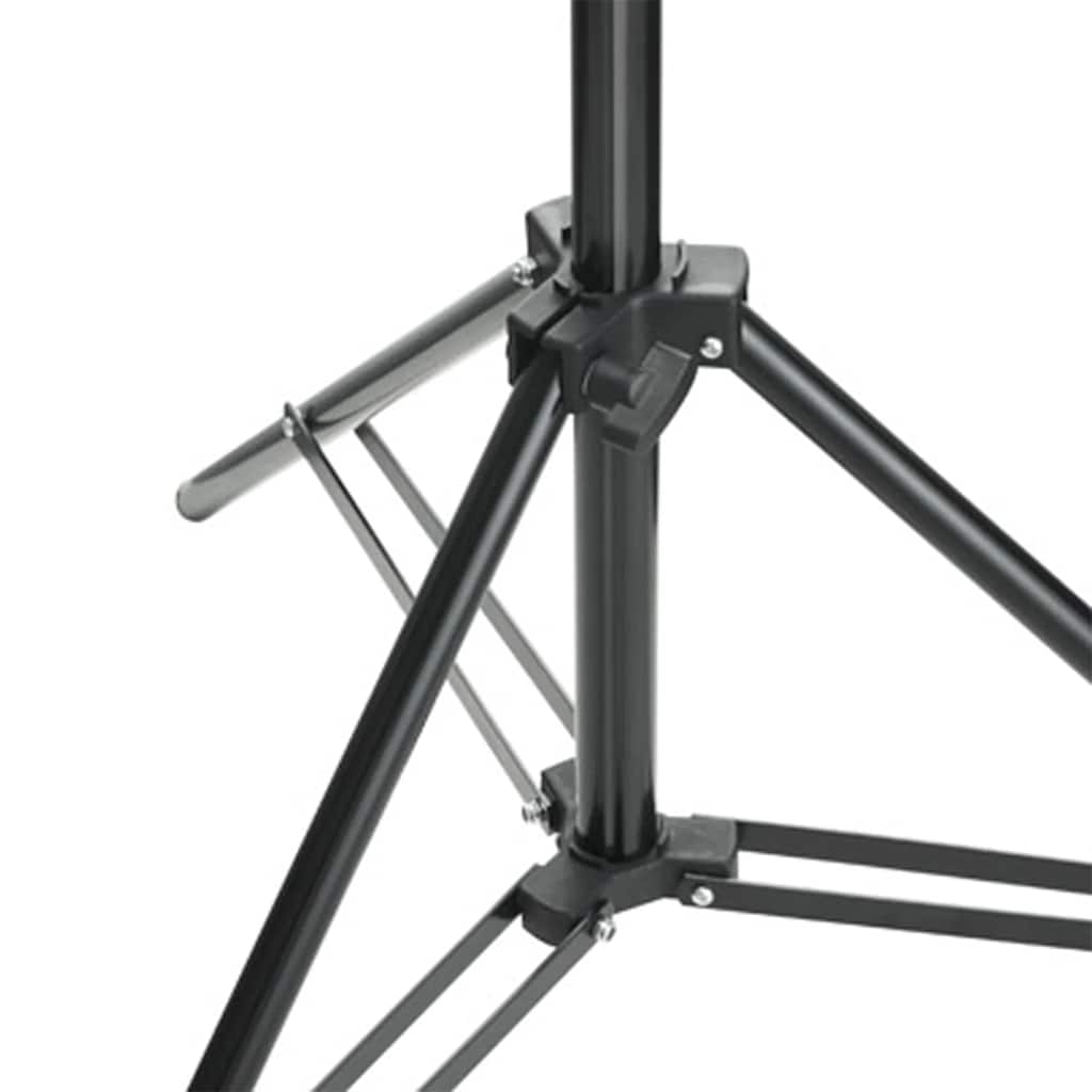 Set studio fotografico con set di lampade e sfondo - verde, 300 x 300 cm, 1 - number 10.