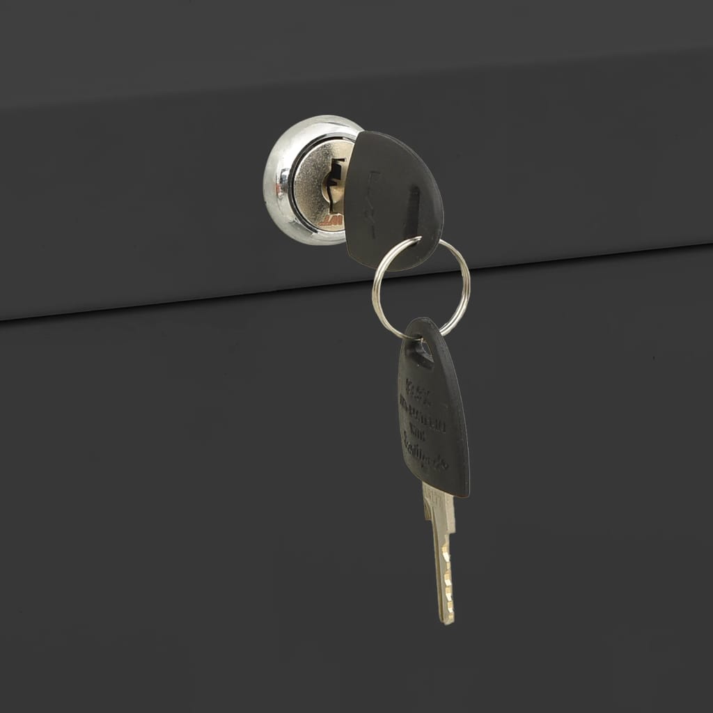 Arkivskab 90x46x134 cm stål antracitgrå - number 11.