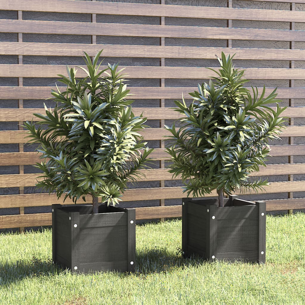 Plant boxes pc. 31x31x31 cm solid pine - grey, 2, 1 - number 1.