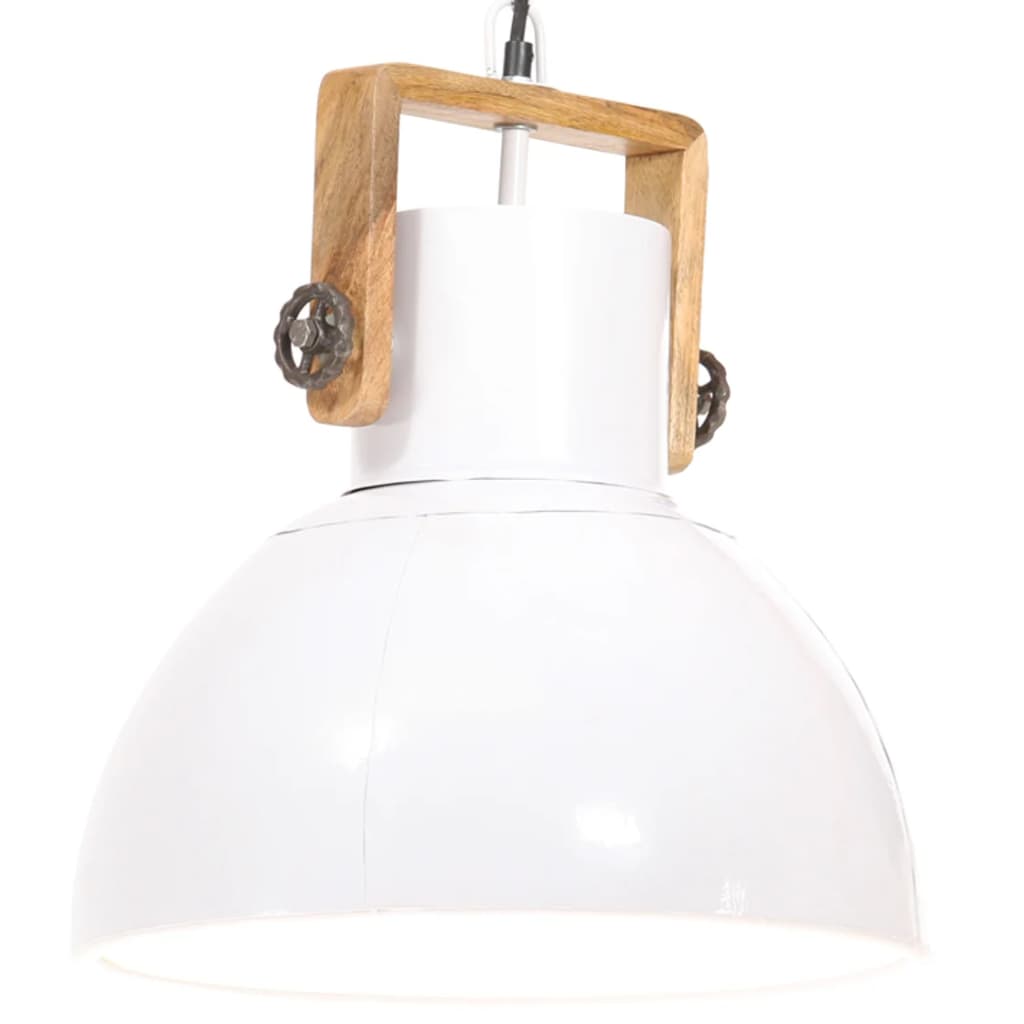 Lampe suspendue industrielle 25 w ronde 40 cm e27 blanche - number 1.