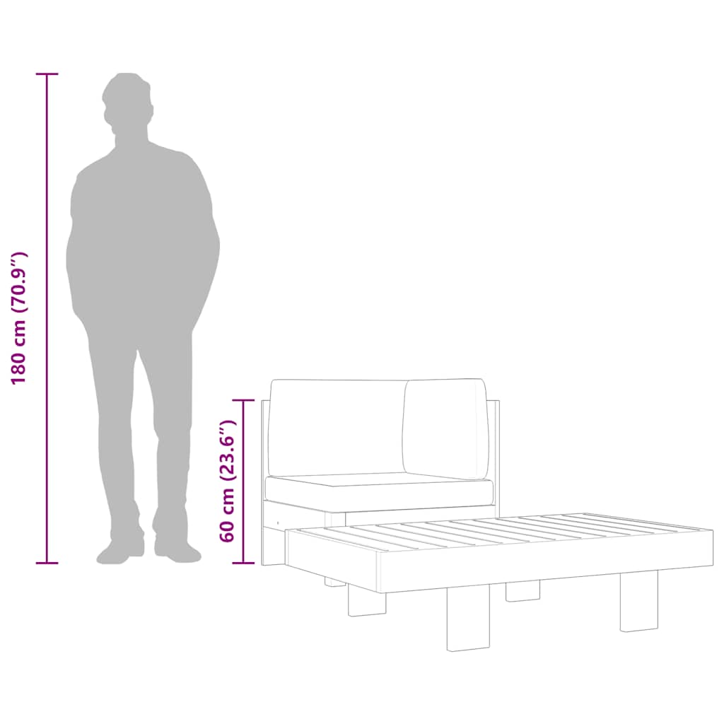 Loungesæt til haven 2 dele med mørkegrå hynder akacietræ - number 6.