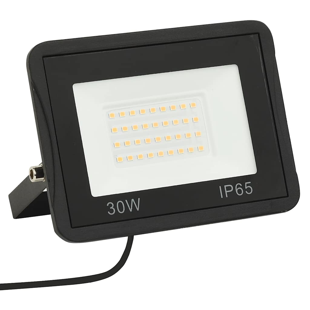 Projecteur led 30 w lumière blanche froide - number 3.