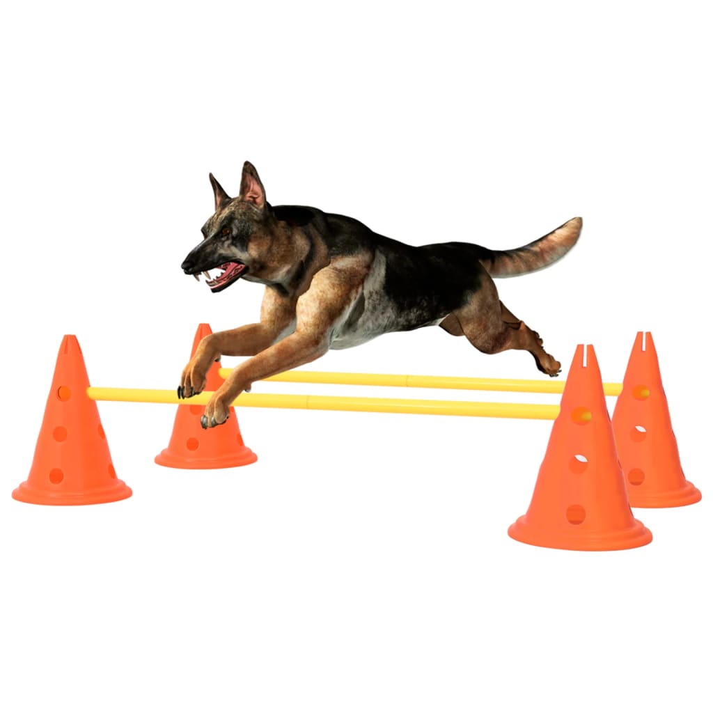 Parcours d'obstacles pour chiens - orange et jaune - number 1.