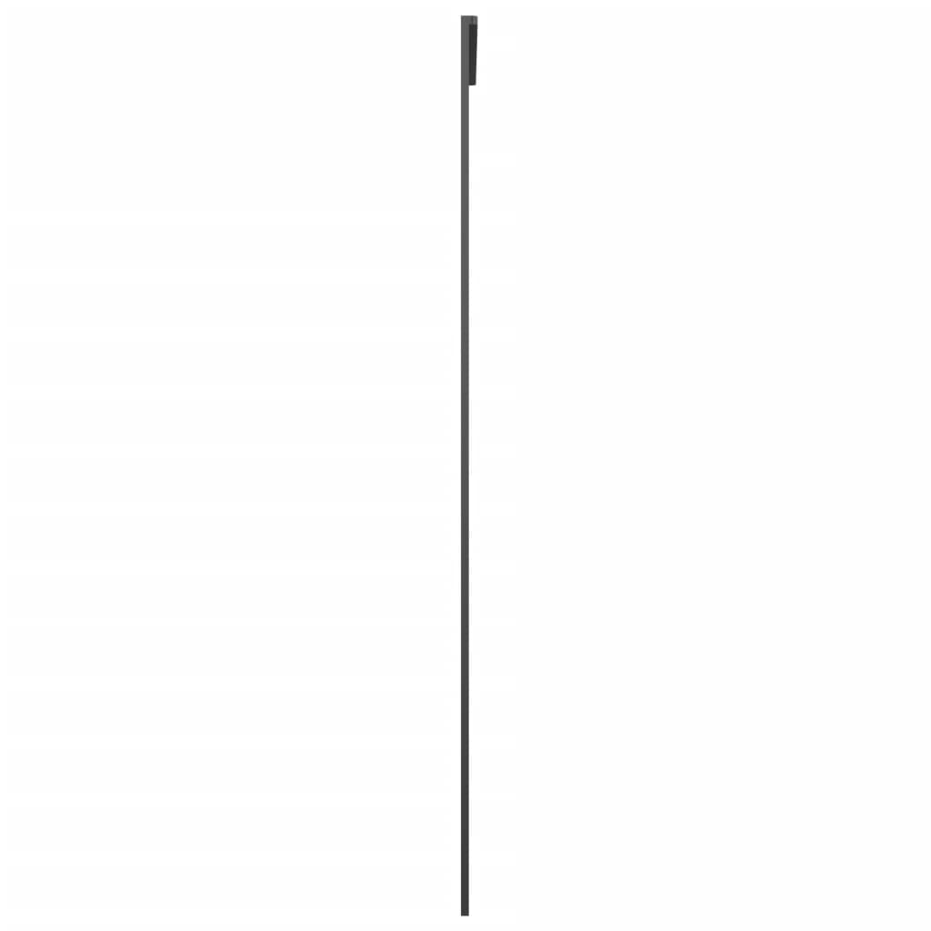 Skydedør aluminium og sikkerhedsglas - sort, 76 x 205 cm, 1, transparent - number 4.