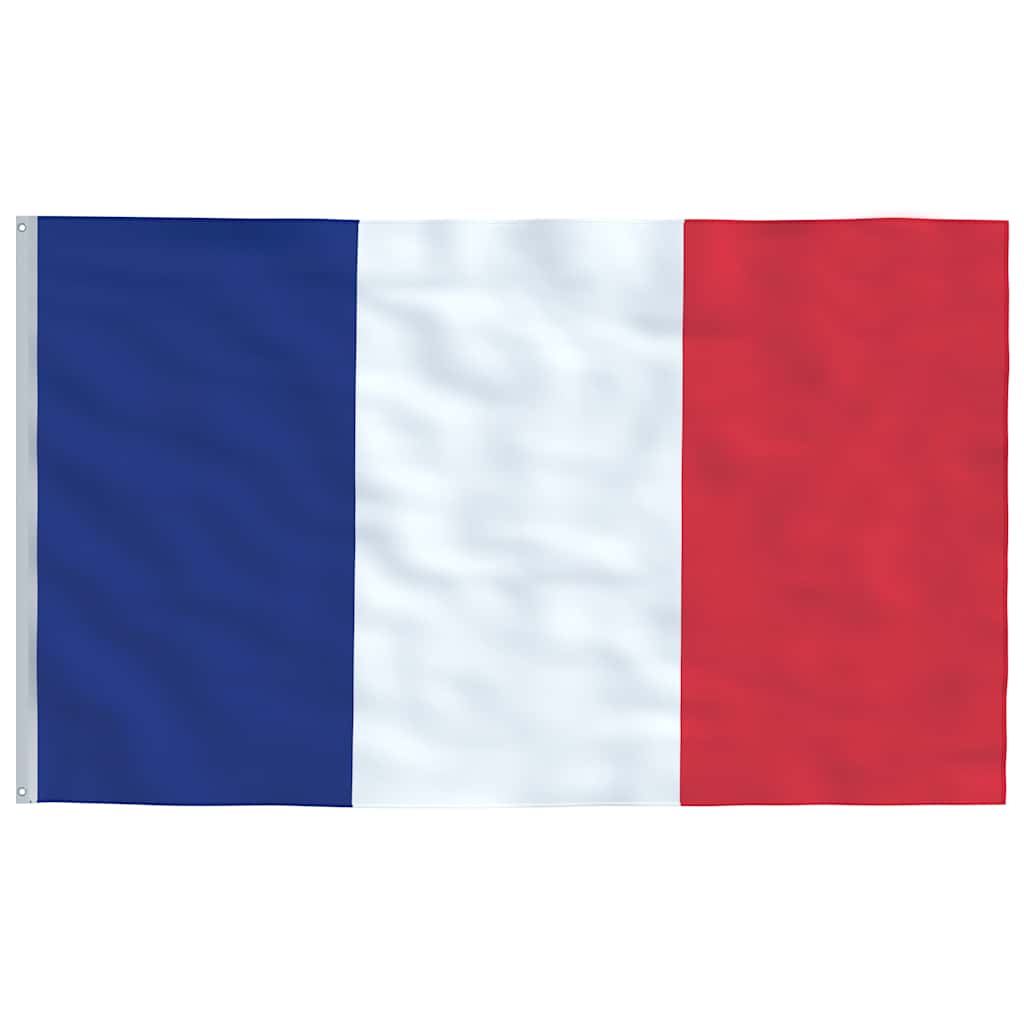 Drapeau de la france et mât de 5,55 m en aluminium - number 4.