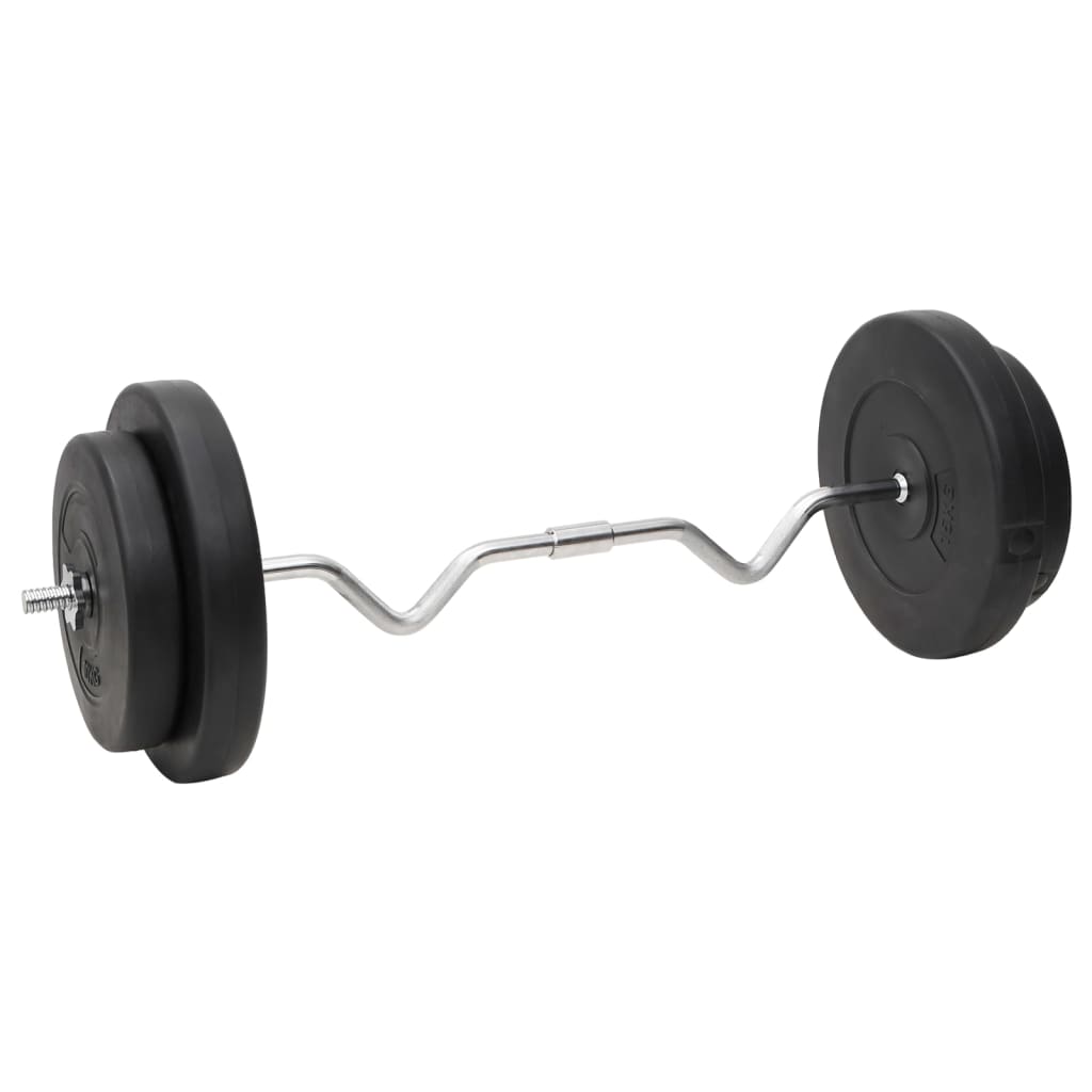 Halterstang en halter met schijven - 90 kg, rechte stang + super curl stang + halterstang, 1 - number 2.