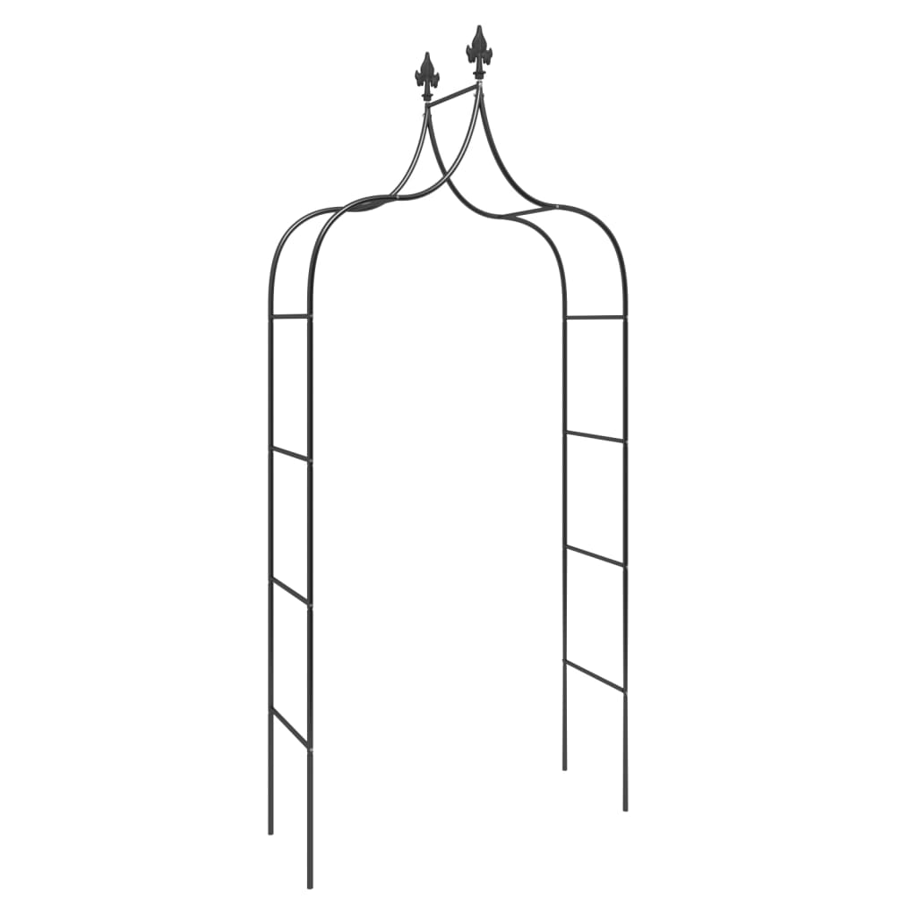 Garden arches 2 pcs. 120x38x260 cm steel black - number 3.