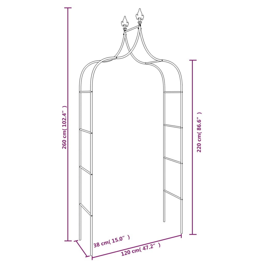 Garden arches 2 pcs. 120x38x260 cm steel black - number 7.