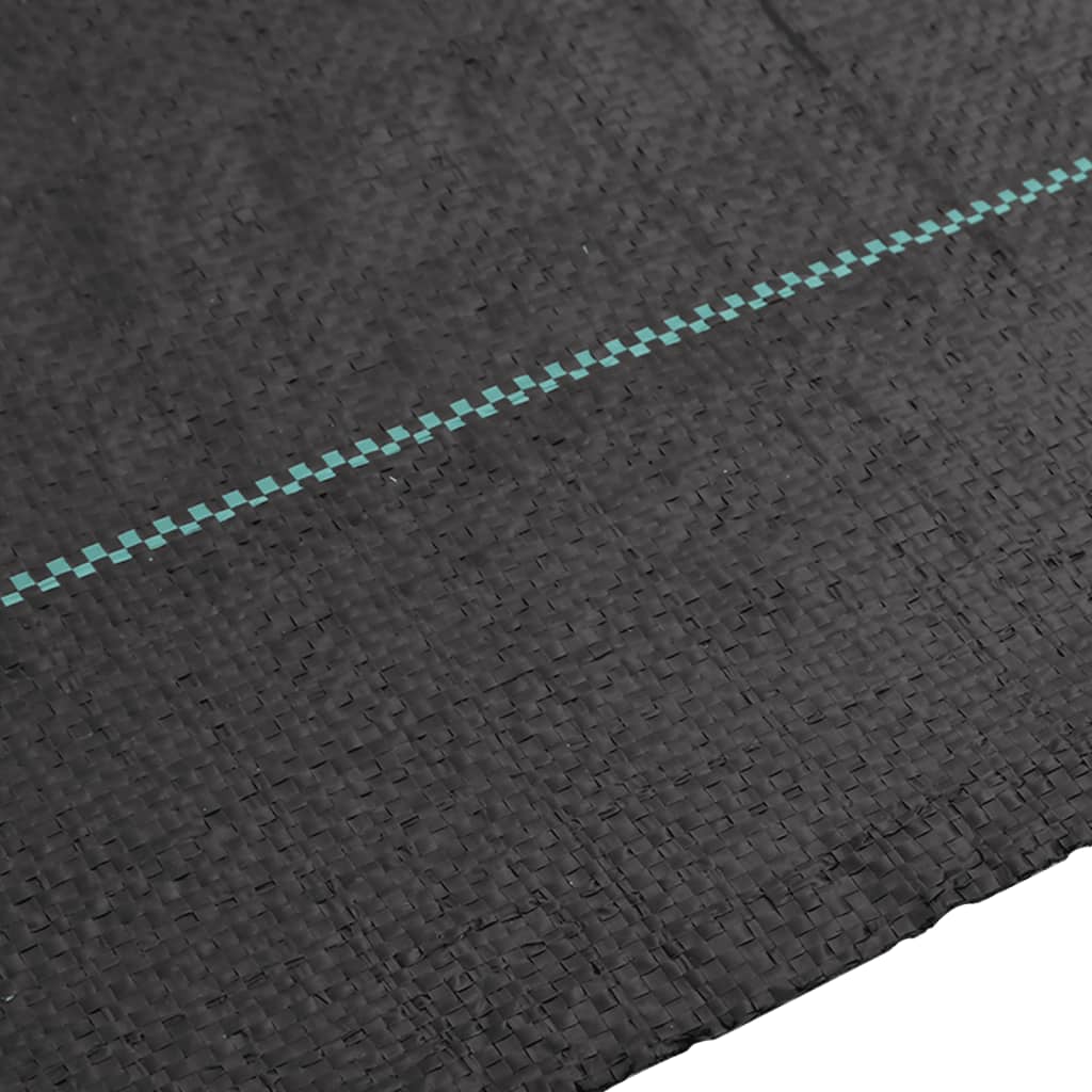 Korov platna pp - ooo 2, 2 x 25 m (100 g/m²), 1 - number 4.