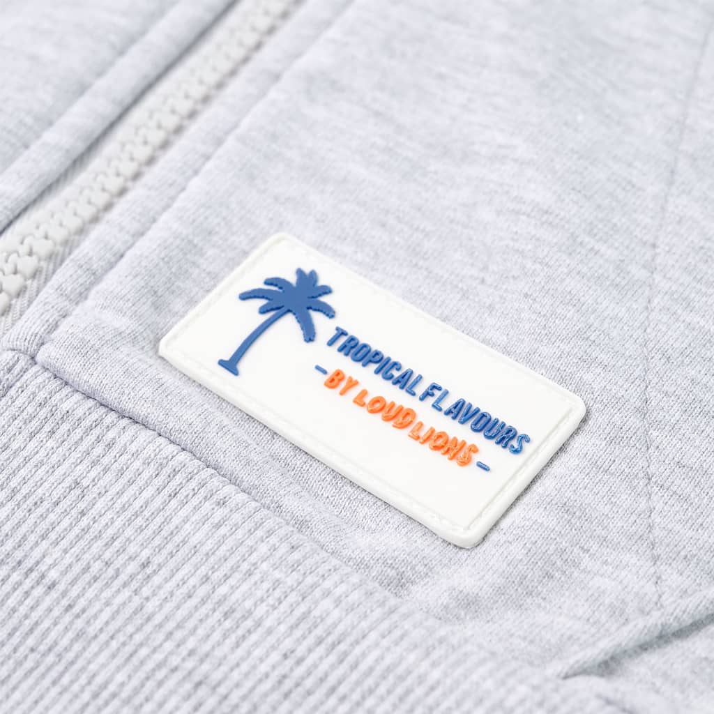 Sweat à capuche pour enfant taille 92 avec zip - gris, 92 (1 5-2 ans) - number 6.