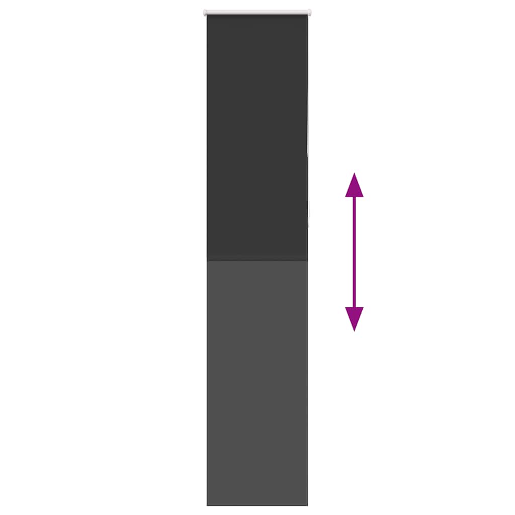 Rideau roulant trafic de 40x230 cm largeur de tissu 35,7 cm polyester - noir, 230 cm, 40 cm - number 5.