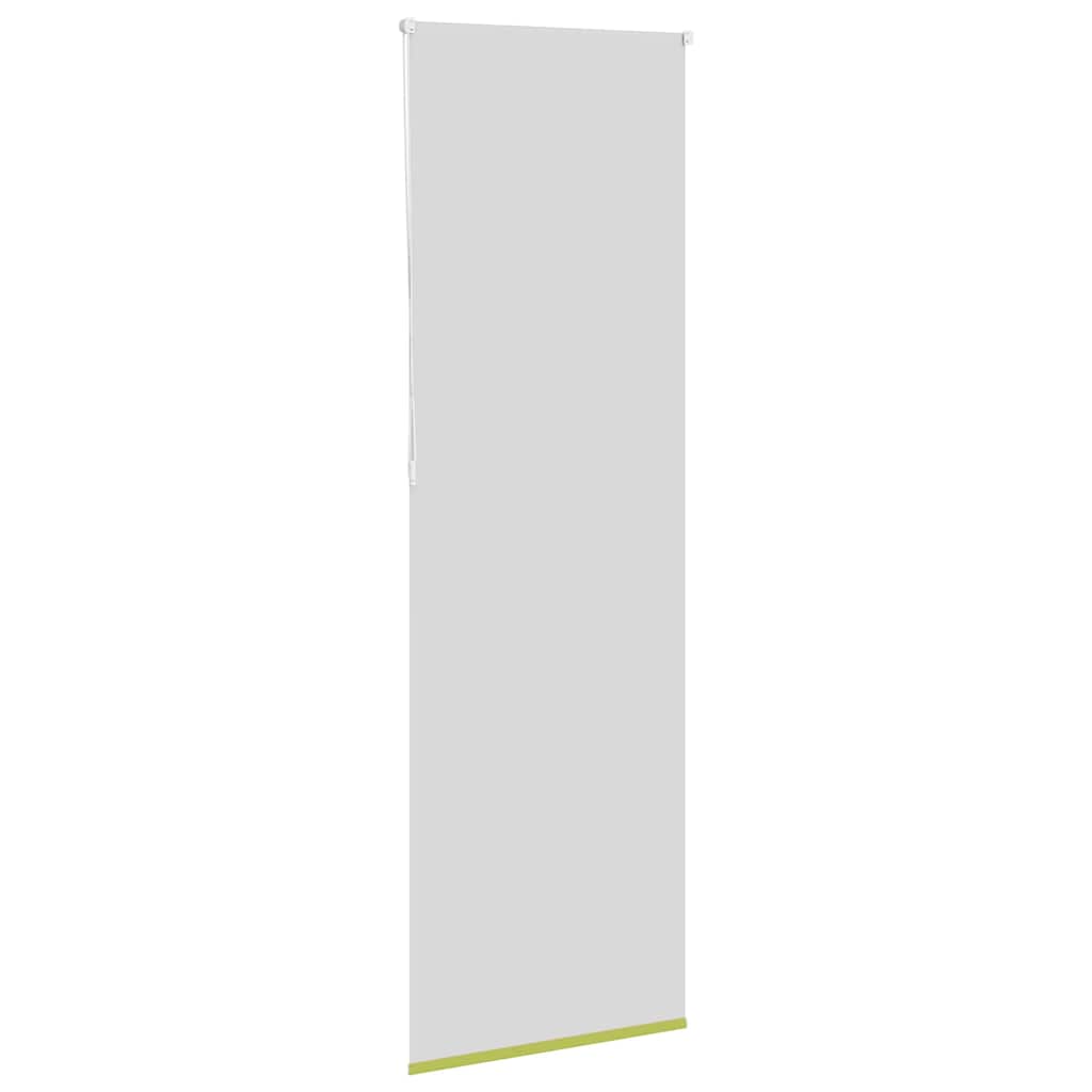 Roller aveugle occlusion 70x210 cm largeur de tissu 65,7 cm polyester - greater, 210 cm, 70 cm - number 4.