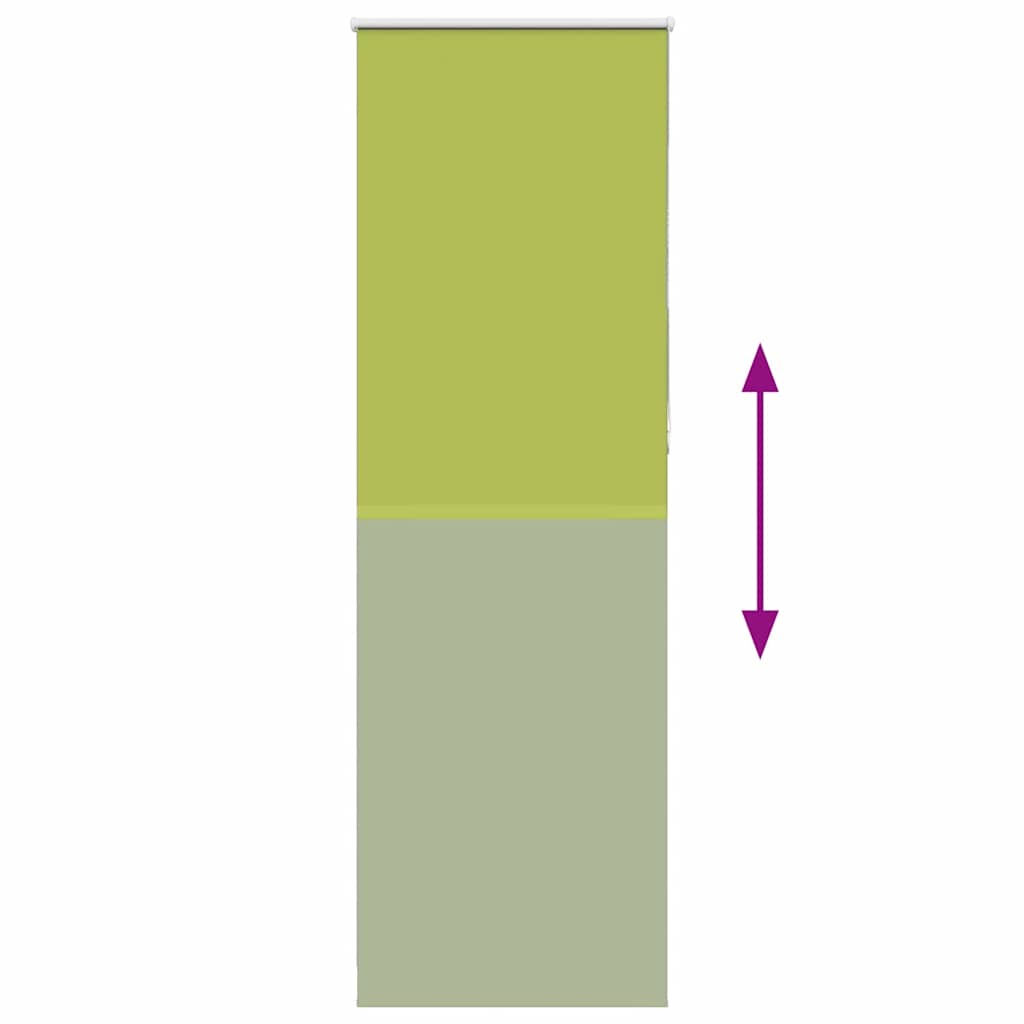 Roller aveugle occlusion 70x210 cm largeur de tissu 65,7 cm polyester - greater, 210 cm, 70 cm - number 9.