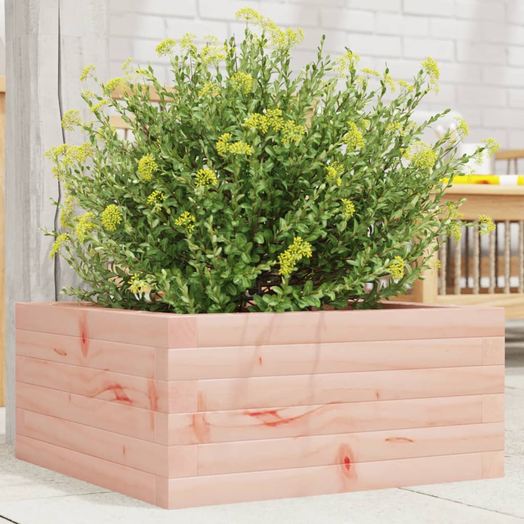 Planter solid douglas fir - natural douglas fir, 50 x 50 x 23 cm, 1 - number 1.