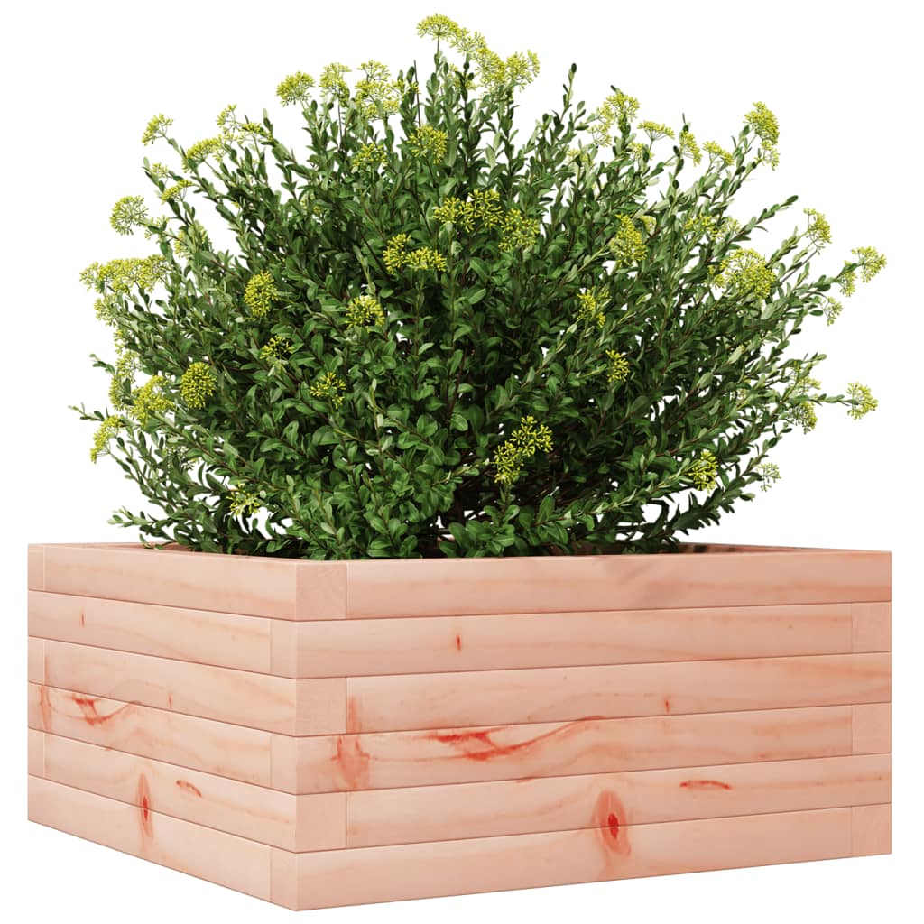 Planter solid douglas fir - natural douglas fir, 50 x 50 x 23 cm, 1 - number 4.