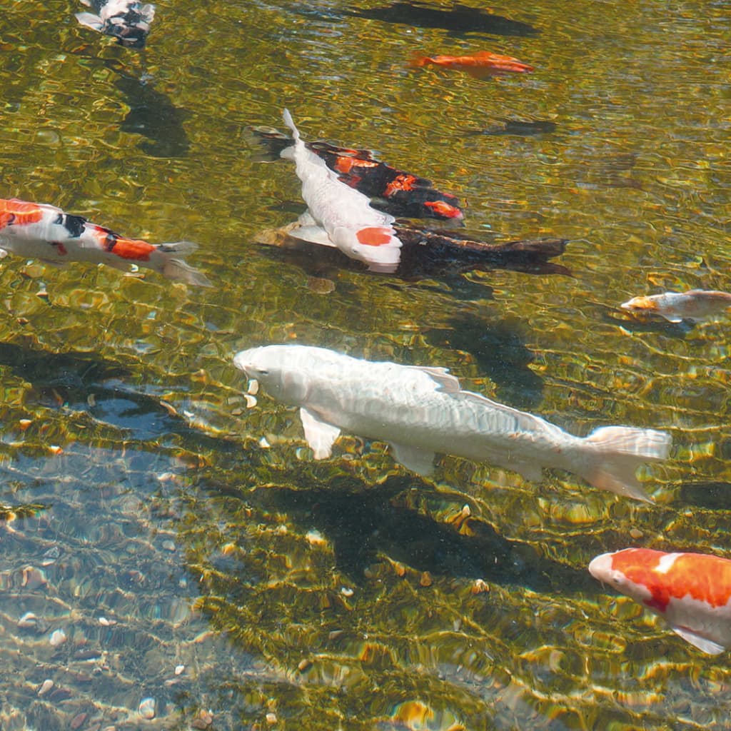 Ubbink algclear uvc 20000 18 w - number 4.