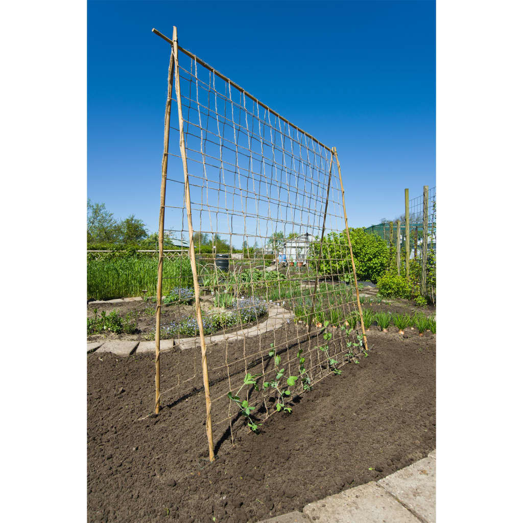 Nature net for climbing plants 1.8x5 m natural colored - 1.8 x 5 m, 1 - number 3.