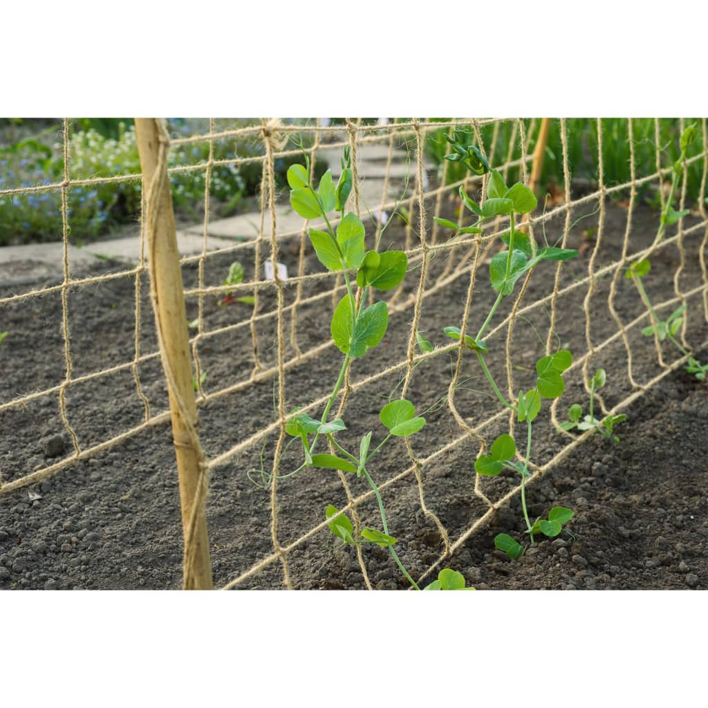 Nature net for climbing plants 1.8x5 m natural colored - 1.8 x 5 m, 1 - number 4.