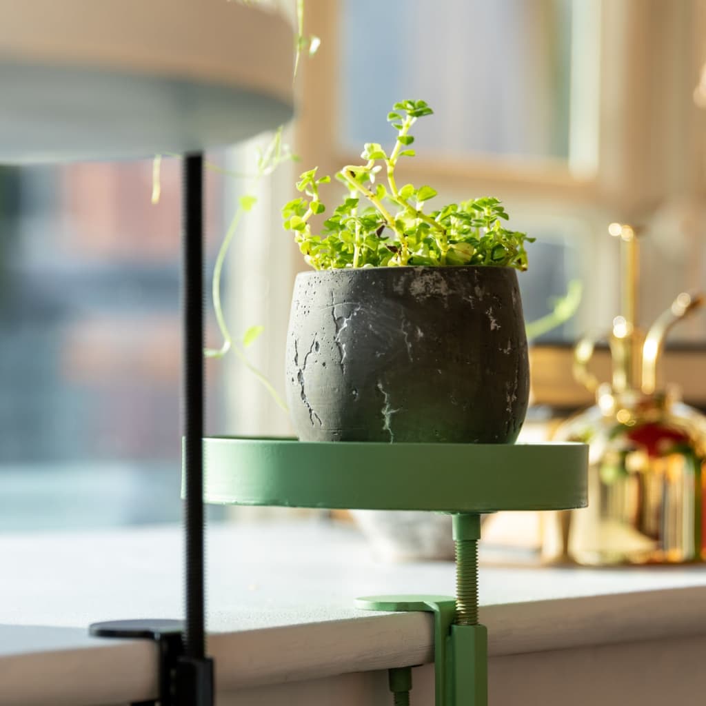 Bac à plantes avec pince design esschert taille s rond vert - number 5.