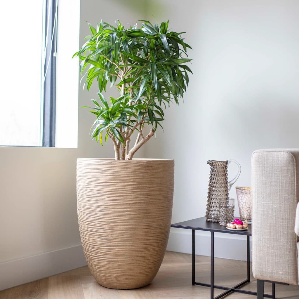 Capi lav krukke waste rib 34x46 cm beige - number 10.