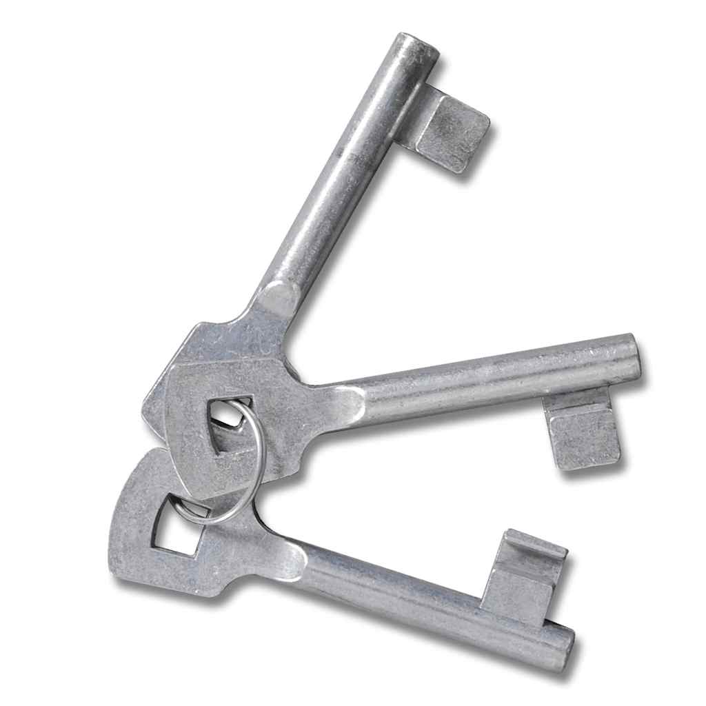 Rešetkasta mrežasta vrata za vrt 289 x 175 cm / 306 x 225 cm - number 4.