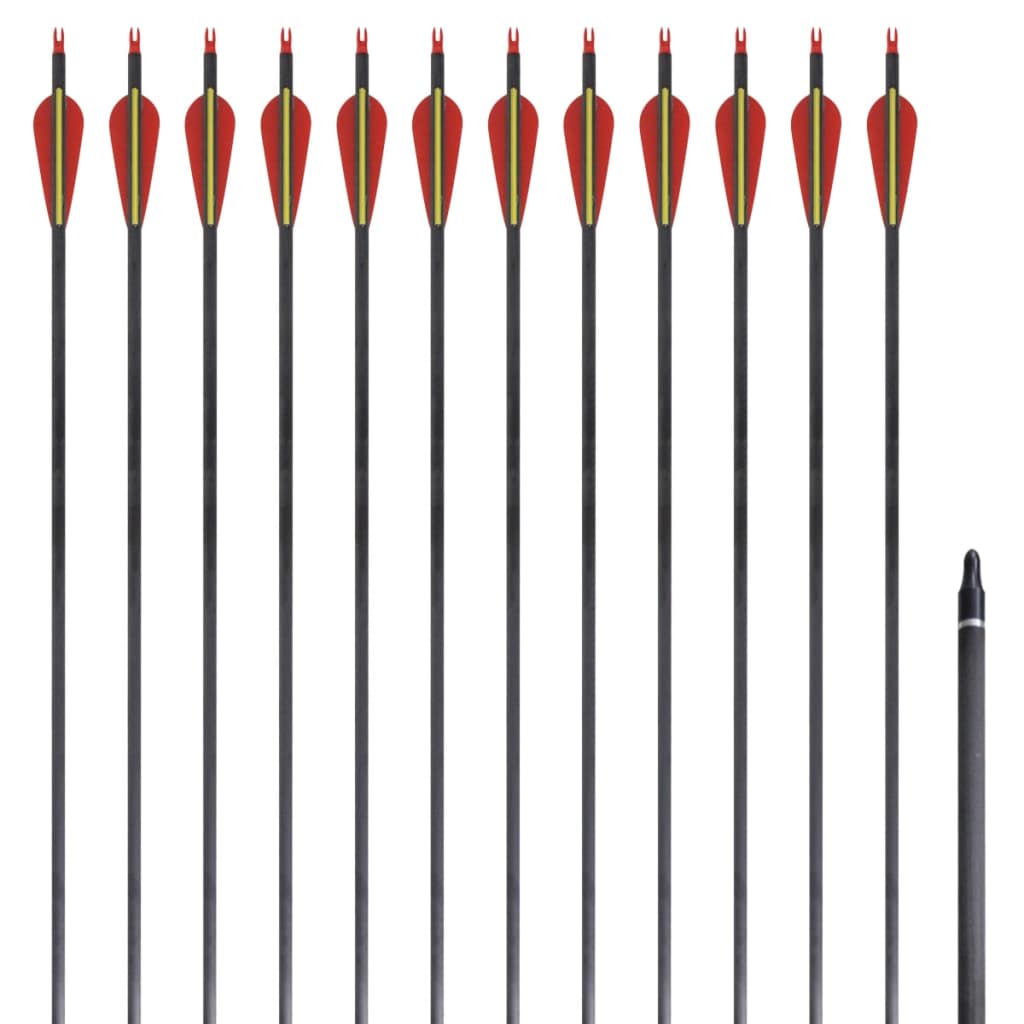 Standard recurve-pile 12 stk. 0,76 cm 30" carbon - number 1.