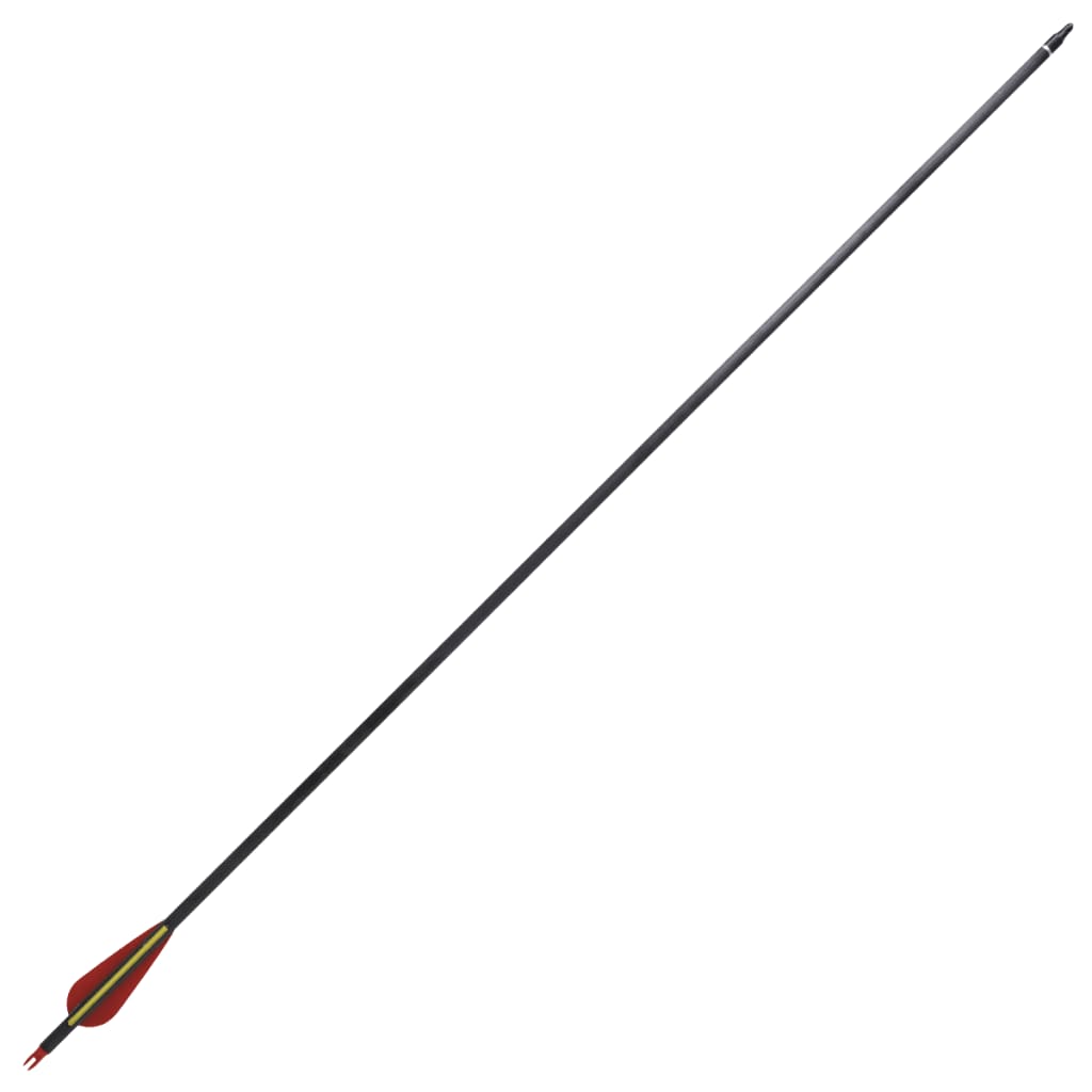 Standard recurve-pile 12 stk. 0,76 cm 30" carbon - number 5.