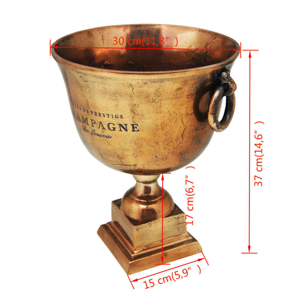 Coupe trophée seau à champagne cuivre marron - number 6.