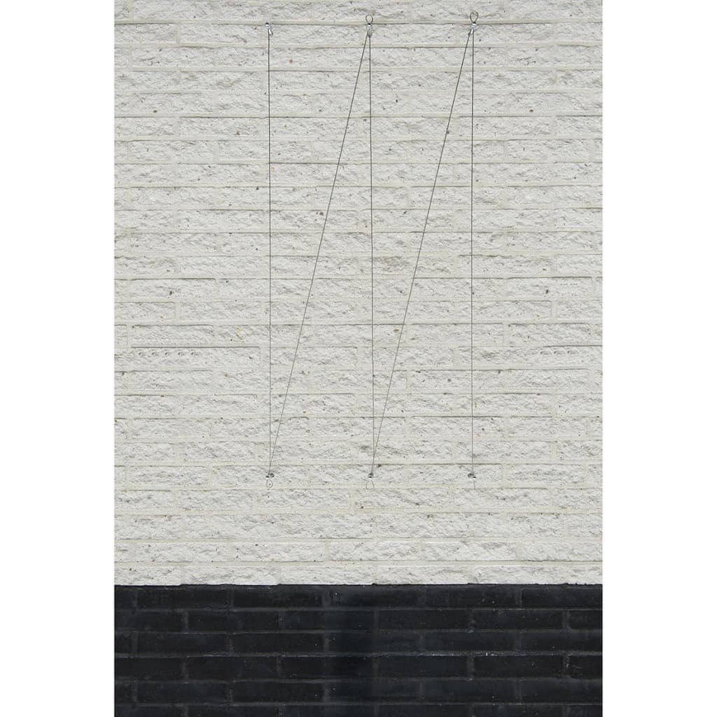 Kit de treillis naturel pour plantes grimpantes 2 pcs. fil d'acier - number 2.