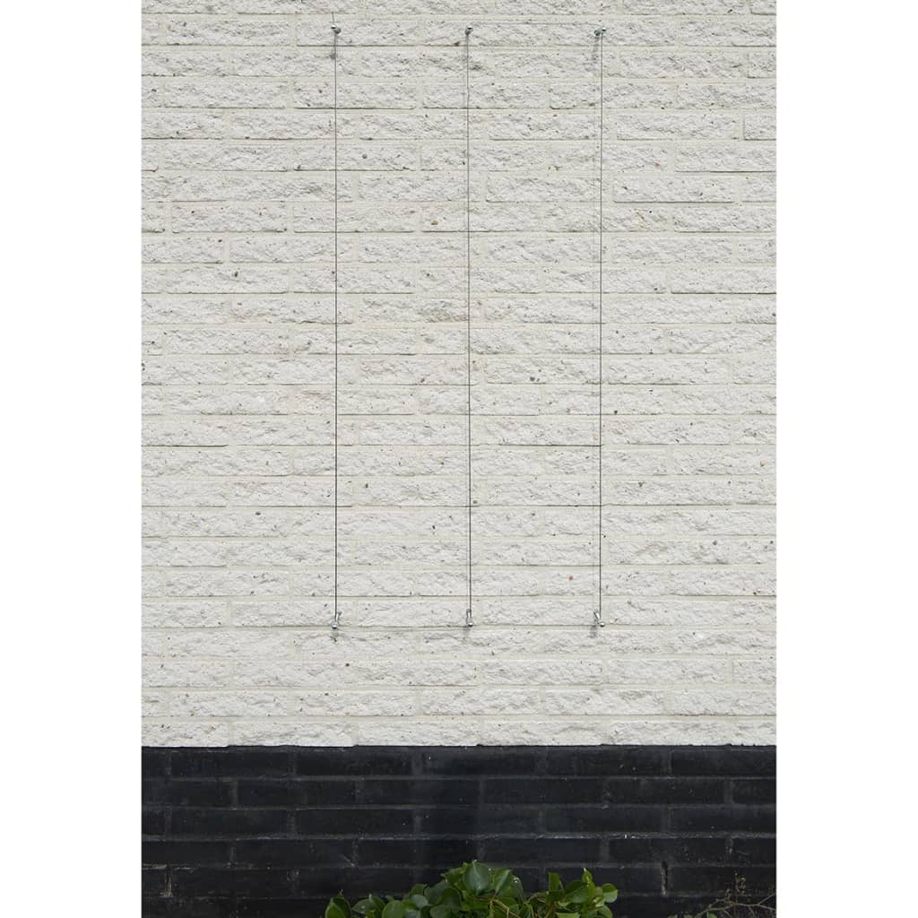 Kit de treillis naturel pour plantes grimpantes 2 pcs. fil d'acier - number 3.