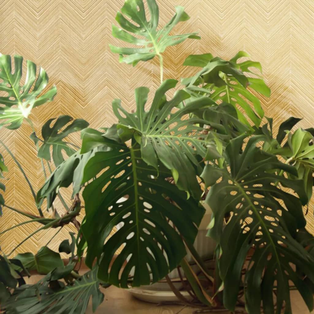 Topchic wallpaper herringbone beige - number 5.